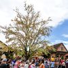 Osterbaum, a maior árvore de Páscoa do mundo
