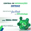 WhatsApp Detran